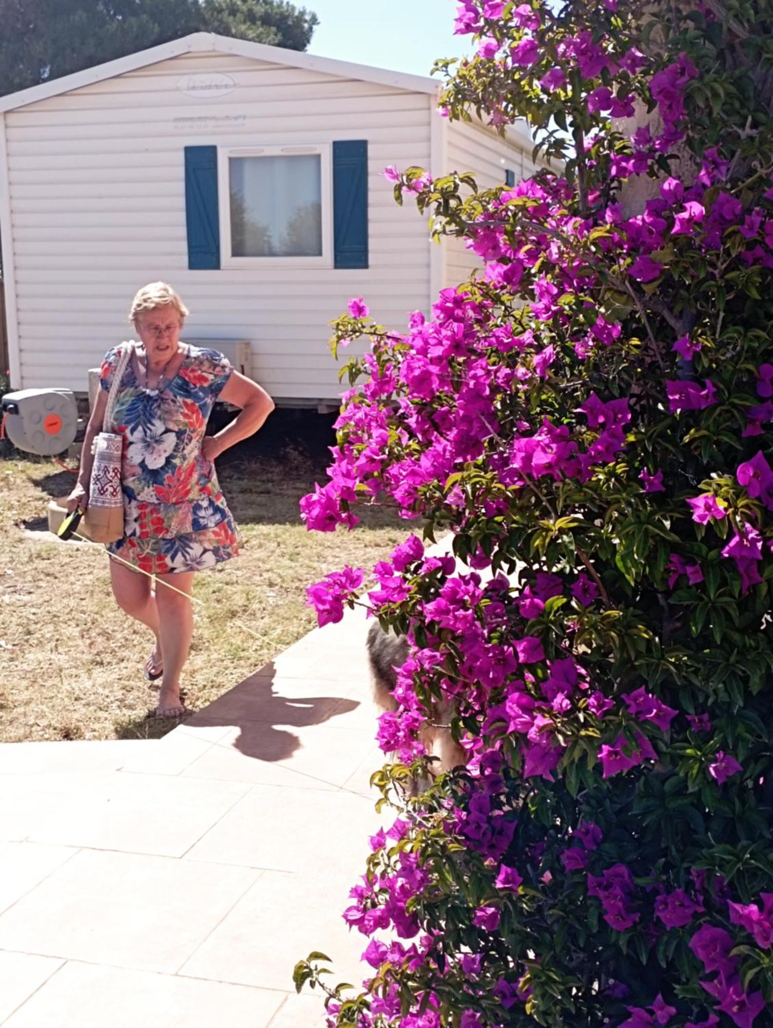 Camping A Port La Nouvelle Exterior foto